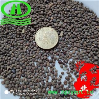 世元药业 急性子 正品 透骨草子 凤仙花子 指甲花子图2