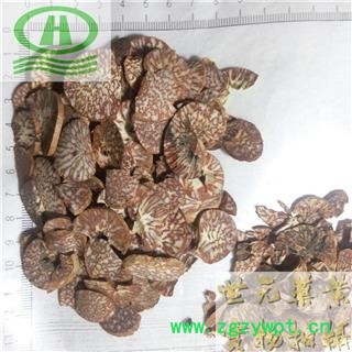 世元药业 槟榔 正品 别称-槟郎 槟榔子 宾门 槟楠 大白槟 大腹子 橄榄子 螺果图3