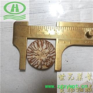世元药业 槟榔 正品 别称-槟郎 槟榔子 宾门 槟楠 大白槟 大腹子 橄榄子 螺果图2