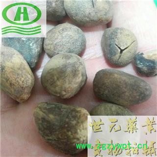 世元药业 大枫子 正品 大风子 米康茄 尾加木 麻风子 驱虫大风子 海南图2