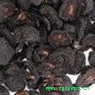 山楂 焦山楂 焦三仙 质量好 专注品质图2