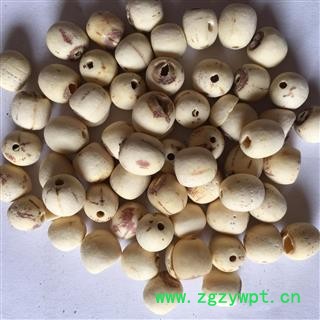 白莲子 空心白莲子统货 抽芯率高 颜色白 产地 湖南省图2
