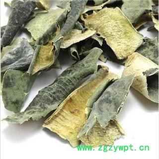 冬瓜皮 统 产地 山东省图2