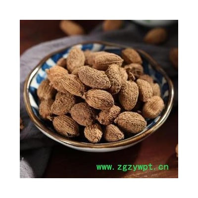 砂仁大货 云南产地直发长果 纯干 无杂质