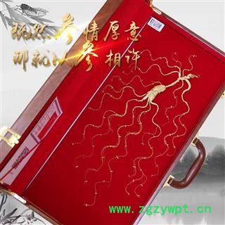 山参人参野山参长白山人参一參一证正规鉴证单支參重30克图3