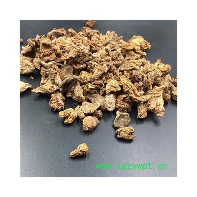 白芨 中药材 水白及 水白芨 白笈 白芨 连及草 甘根 白给 箬兰 朱兰 紫兰 紫蕙 百笠