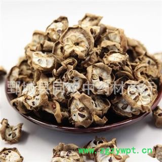 【八月札  预知子】@【同欢药材】中药材批发供应 产地 湖北省 规格齐全 量大从优图2