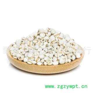 【大粒薏苡仁】@【同欢药材】中药材批发供应  规格齐全 量大从优  产地 海外图2