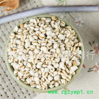 【大粒薏苡仁】@【同欢药材】中药材批发供应  规格齐全 量大从优  产地 海外图3