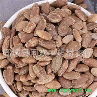 【瓜蒌子】@【同欢药材】中药材批发供应  规格齐全 量大从优 产地 河北省图2