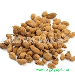 【进口圆果壳砂仁】@【同欢药材】中药材批发供应  规格齐全 量大从优  产地 海外图2