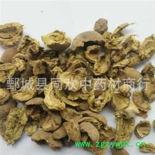 【诃子肉】@【同欢药材】中药材批发供应  规格齐全 量大从优 产地 广西壮族自治区图2