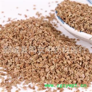 【蛇床子选货净货】@【同欢药材】中药材批发供应   规格齐全 量大从优 产地 山东省图3