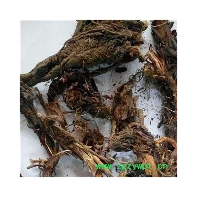 圣草康园中药材甘松 甘松根香松含量高