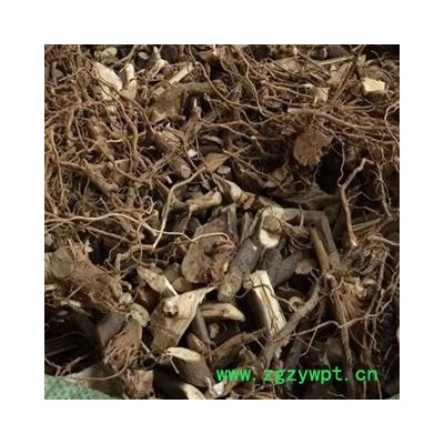 圣草康园臭牡丹臭牡丹 臭八宝 臭枫草 臭珠桐 产地 广西柳州