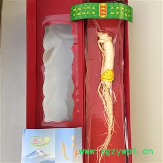 圣草康园 正宗人参 白参 活性参  50克 产地 吉林省白山市抚松县图4