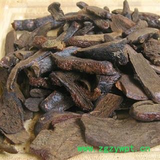 圣草康园沙烫骨碎补 沙烫申姜 非廉价代用品 崖姜 岩连姜 爬岩姜 肉碎补 石碎补 飞天鼠 牛飞龙 飞来风 飞蛾草图2