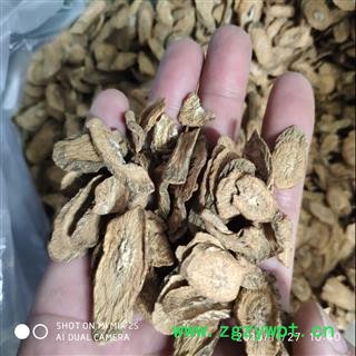 世元药业 牛蒡茶 茶饮一级d 烘干图2