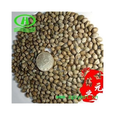 世元药业 火麻子 正品 优质 大颗粒 带壳 另有火麻仁