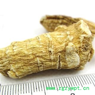 圣草康园西洋参  西洋参多伦多西洋参12克长支图3