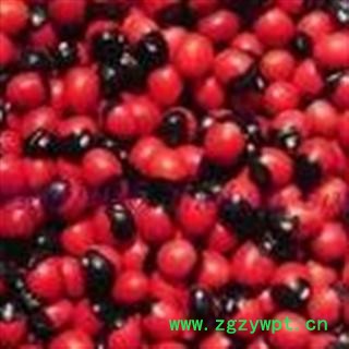 世元药业 相思豆 人头参 红豆 小红豆 小相思豆图3