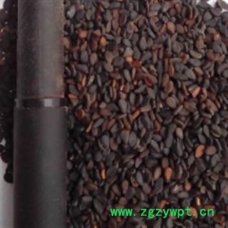 世元药业 黑芝麻 正品 药用厚皮 药用效果好 口感差 另有食用薄皮黑芝麻图2