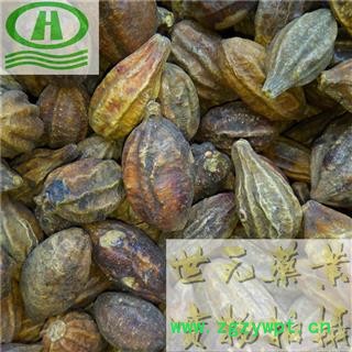 世元药业 金柯子 正品 诃子(荆柯子)图2