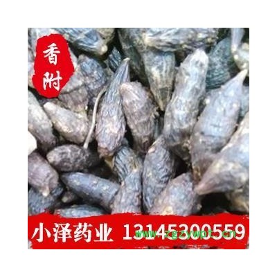 香附 光香附统个 产地 河南省