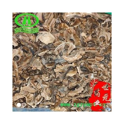 世元药业 分心木 统货 经济实惠 适合药店诊所采购 胡桃衣 胡桃夹 胡桃隔 核桃隔