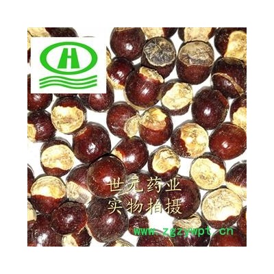 世元药业 龙眼核 桂圆核 龙眼子 龙眼籽 大核 元肉骨 正品