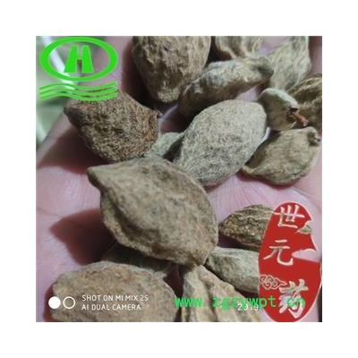 世元药业 碧桃干 正品 青桃 桃枭 鬼髑髅 桃奴 枭景 干桃 气桃 阴桃子 山桃干 瘪桃干