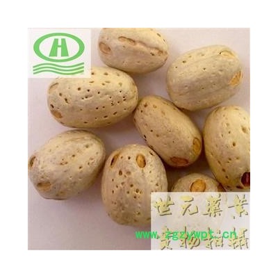世元药业 五眼果 南酸枣 货郎果 正品 山枣籽 工艺原料 五眼果【全品除尘中药】