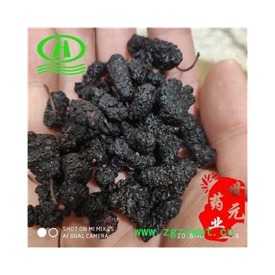 世元药业 桑葚子 正品【食品级无风沙】桑实 乌椹 文武实 黑椹 桑枣 桑垂 椹子