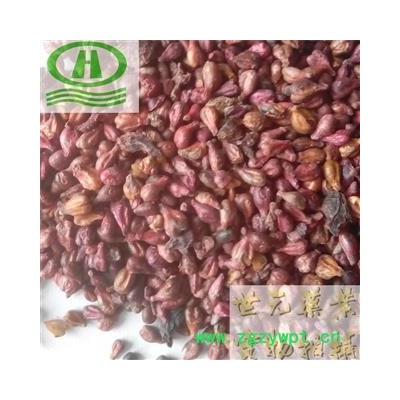 世元药业 葡萄籽 新货正品 葡萄子