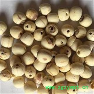 白莲子 大个白莲子 湖南湖北空心磨皮白莲子98货 产地 湖南省图2
