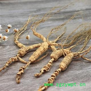 人参 山参 林下山参 无人为粘接 无胶水接15年林下人参图2