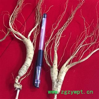 长白山移山参人参山参吉林人参  七天无理由退换货  满980元包邮图4