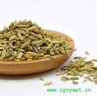 小茴香 小茴香净货 今年新货 颜色好 气味大 产地 甘肃省图2