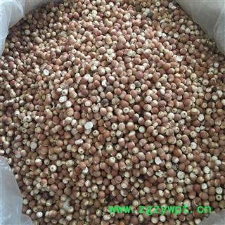 芡实 选装芡实个 颗粒饱满 有大货 低价售 产地 广东省图2