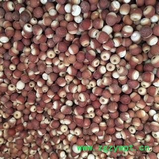 芡实 选装芡实个 颗粒饱满 有大货 低价售 产地 广东省图3