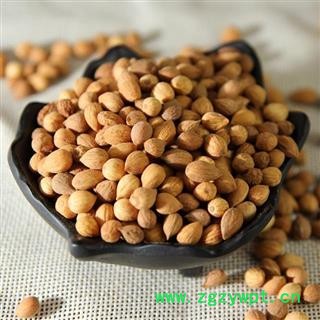 郁李仁 郁里仁 正品 颗粒 饱满 好货 颜色好图2