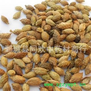 【黄褐色苍耳子】@【同欢药材】中药材批发供应  规格齐全 量大从优 】产地 内蒙古自治区图2