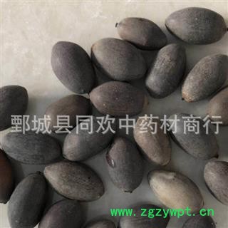 【选货石莲子】@【同欢药材】中药材批发供应  规格齐全 量大从优  产地 湖南省图2