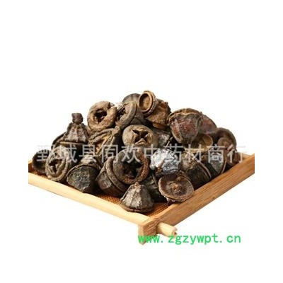 【一口钟 桉树果】@【同欢药材】中药材批发供应  规格齐全 量大从优  产地 云南省