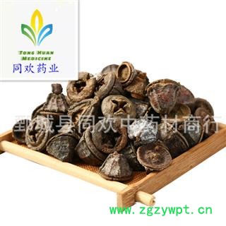 【一口钟 桉树果】@【同欢药材】中药材批发供应  规格齐全 量大从优  产地 云南省图2