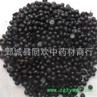 【椒目】@【同欢药材】中药材批发供应 规格齐全 量大从优  产地 陕西省图2