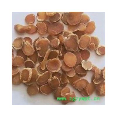 圣草康园 红参 红参圆片长白山原色无硫大片直径1.5-2公分