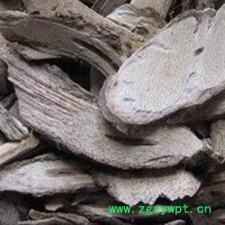 圣草康园乌骨藤 奶浆藤 黄木香 通关散 通光散 下奶藤 地甘草 扁藤 癞藤子 白暗消 通关藤 确络风 牛耳风 火索藤 大叶酒饼藤图2