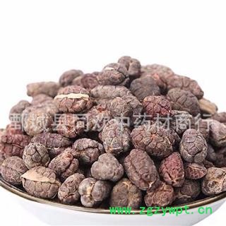 【进口颜色好砂仁米】@【同欢药材】中药材批发供应  规格齐全 量大从优 产地 海外图3