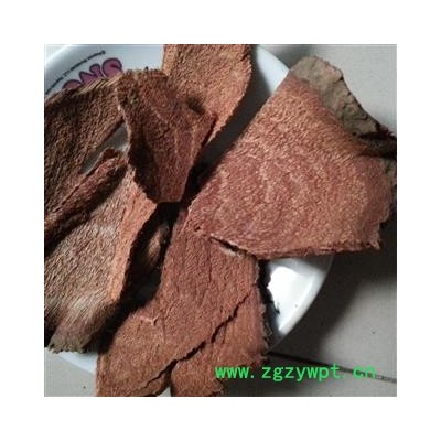 圣草康园过山龙 常春油麻藤 牛麻藤 牛马藤 油麻血藤